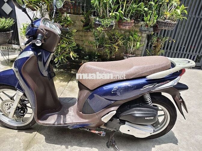 SH Mode Biển SG .bao ký