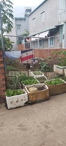 BÁN ĐẤT TẠI PHƯỚC TÂN - BIÊN HÒA