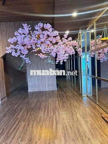 Cho thuê nhà Quận 10, Đường Sư vạn hạnh,4x25m 4 lầu giá thuê 55 triệu