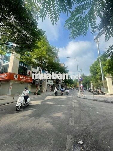 🌟 10 tỷ - MẶT PHỐ NGUYỄN ĐÌNH CHIỂU – KINH DOANh 🌟
💎 Nhà 5 tầng