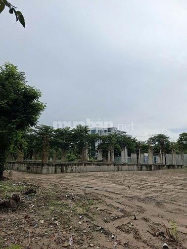 Chuyển Nhượng Dự Án Tòa Nhà Văn Phòng Quận 12 giá 190 tỷ