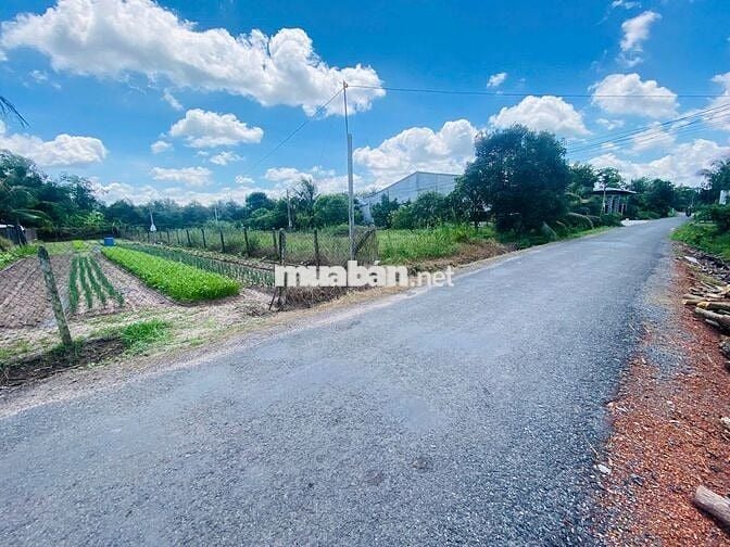 ĐẤT NHỰA KCN 10X62 GẦN NEW CITY