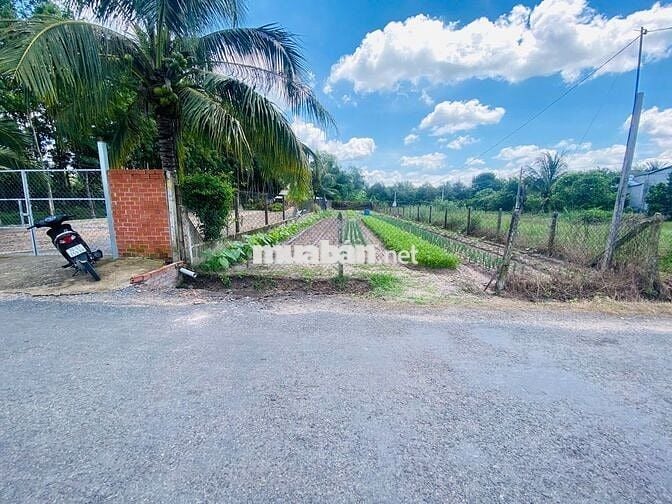 ĐẤT NHỰA KCN 10X62 GẦN NEW CITY