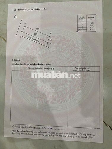 🔥 NGỘP BANK – CẦN BÁN GẤP 2 LÔ ĐẤT ĐẸP TẠI PHƯỜNG TÂN TRIỀU 🔥