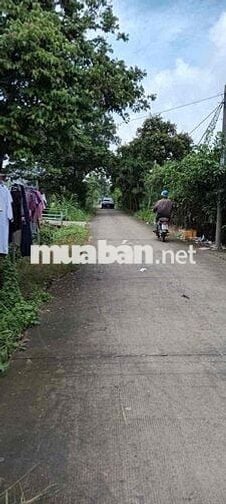 Bán 3100m2 đất Hưng Long - Bình Chánh - 5,3 Tye