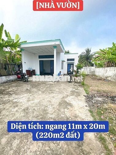 CHO THUÊ NHÀ VƯỜN CHỢ KHÁNH HẬU, TP TÂN AN, LONG AN