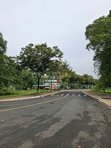 Chuyển Nhượng Dự Án Tòa Nhà Văn Phòng Quận 12 giá 190 tỷ