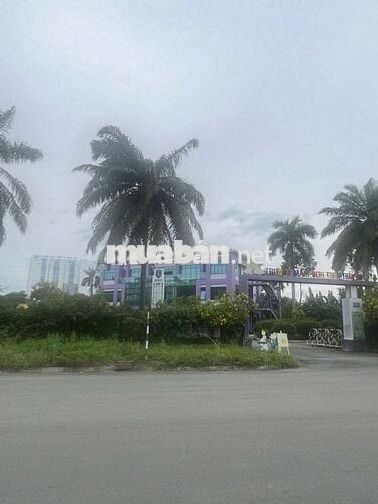 Bán Đất Làng Đại Học Tân Tạo, 105m2, Full thổ cư, Giá 1,575