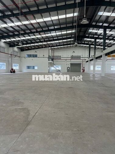 Cho Thuê Kho Xưởng 1200m² – Quận Bình Tân Container 24/24,PCCC Tự Động