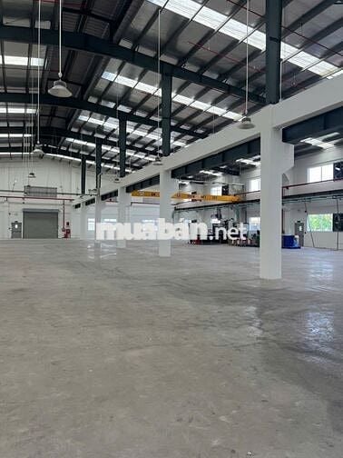 Cho Thuê Kho Xưởng 1200m² – Quận Bình Tân Container 24/24,PCCC Tự Động