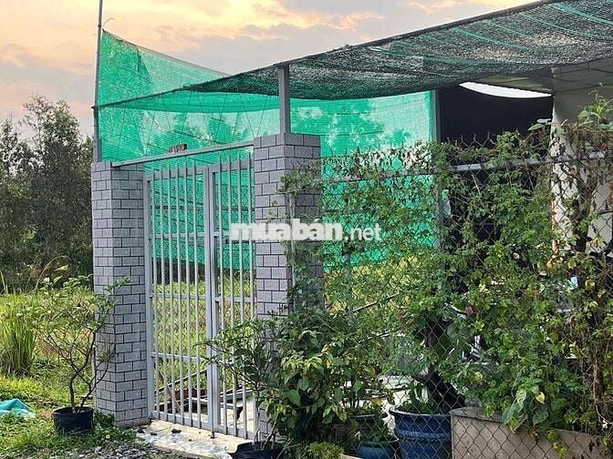 chính chủ bán đất phường Tam Phước, Biên Hoà, Đồng Nai