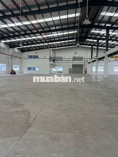 Cho Thuê Kho Xưởng 1200m² – Quận Bình Tân Container 24/24,PCCC Tự Động