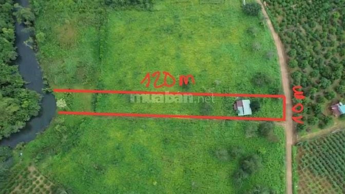 Chính chủ cần bán 1.210m2 mặt đường bê tông, view suối đá chỉ 250 tr