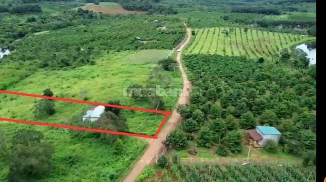 Chính chủ cần bán 1.210m2 mặt đường bê tông, view suối đá chỉ 250 tr