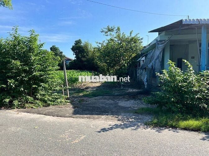 ❗❗ BÁN GẤP LÔ ĐẤT ĐẸP GIÁ RẺ MT ĐƯỜNG NHỰA 173M2 TL7 THÁI MỸ GIÁ 1,7TỶ
