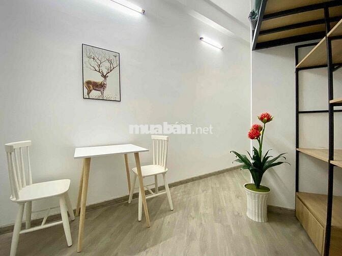 CHDV, Chung Chư mini có gác Full nội thất giá rẻ gần Trung tâm Q5-Q10
