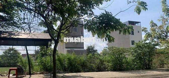 Bán lô đất mặt đường 6m ở An Phú Tây, Bình Chánh, diện tích 100m2 SHR