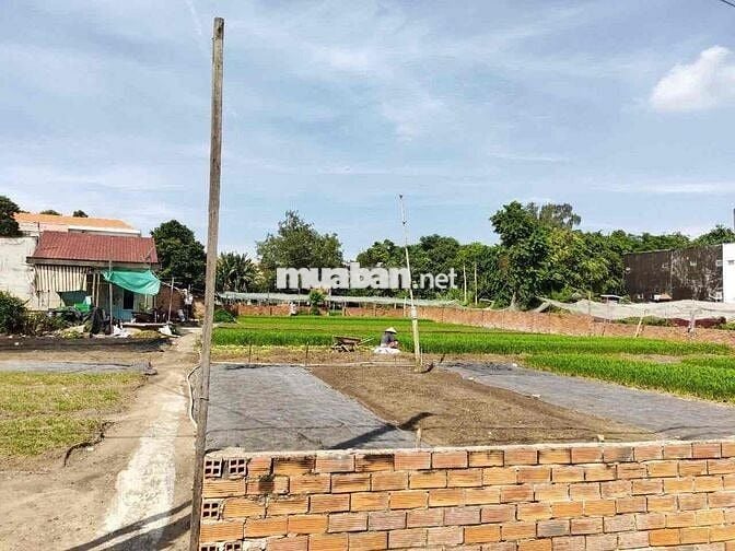 đất 1300m2 thổ cư 300m 1/ trịnh thị miếng hxh giá 14,9tỷ tl