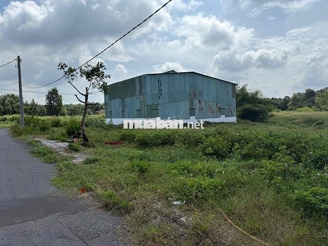 Đất Lộc An ngay khu dân cư full thổ cư 592/8