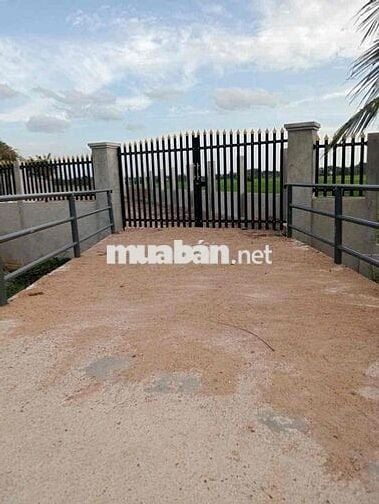 Cần Bán Đất 1550m2 - 10 tỷ Đường Trương Văn Đa Bình Chánh