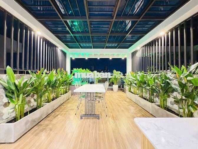 NHÀ HOA HOT! Cho thuê nhà 206B Hoa Lan, Phú Nhuận. Nhà mới, DTSD 400m2
