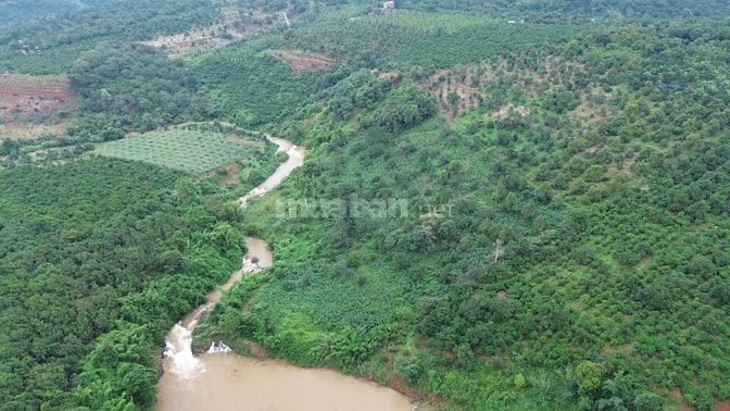 Chính chủ cần bán 20.000m2, ôm trọn suối,thác,hồ quá đẹp, ngay cao tốc