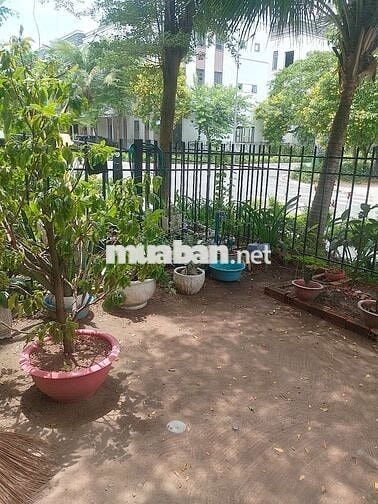 Cần Cho thuê nhà nguyên căn Phúc An Villas