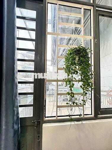 🏡 Căn hộ 2 phòng ngủ >50m² – ban công thoáng mát
