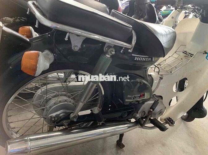 cub 81 đẹp 50cc