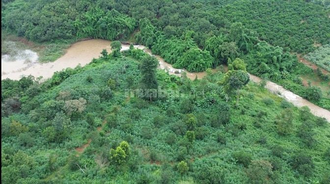 Chính chủ cần bán 20.000m2, ôm trọn suối,thác,hồ quá đẹp, ngay cao tốc