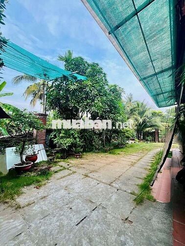 Cho Thuê quán cafe sân vườn KDC Hưng Phú 1