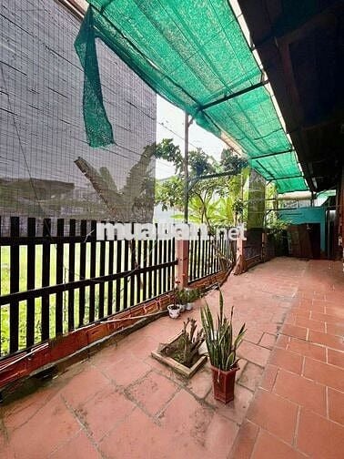 Cho Thuê quán cafe sân vườn KDC Hưng Phú 1