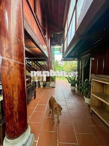 Cho Thuê quán cafe sân vườn KDC Hưng Phú 1
