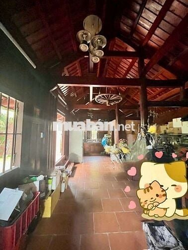 Cho Thuê quán cafe sân vườn KDC Hưng Phú 1
