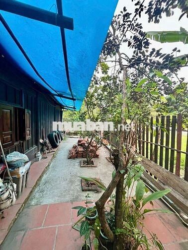 Cho Thuê quán cafe sân vườn KDC Hưng Phú 1