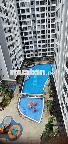 Cho thuê căn hộ The RIVANA 2PN full nt với giá siêu rẻ chỉ với 8tr