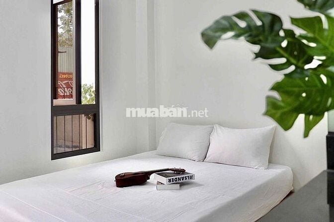 ⚜️ Căn Hộ Xịn Ban Công/ Thang Máy/ FULL NT NGAY VĂN CAO 🔸