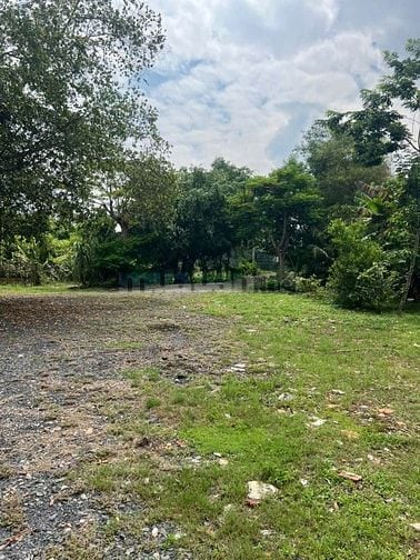 Đất vườn mặt tiền Sông Sài Gòn chính chủ 10000m2 cần bán gấp.