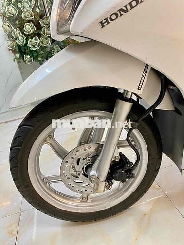 Vision Fi Trắng nâu (Trùm mền) Bstp mới 98% Zin