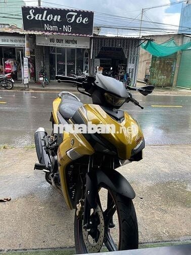 ex155vva 2024