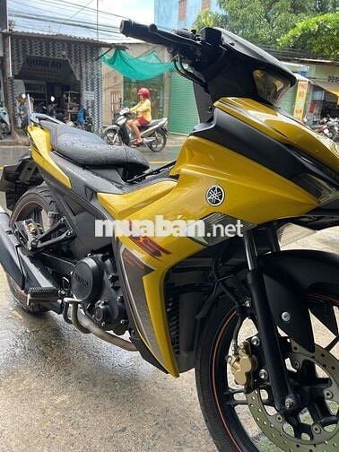 ex155vva 2024