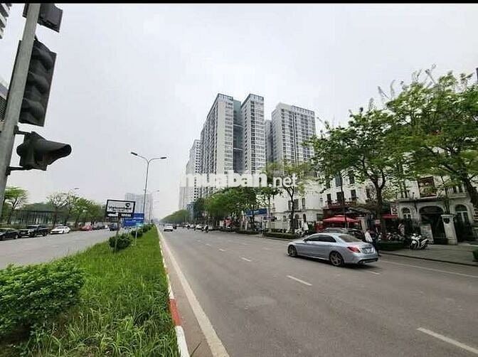 Tôi cần bán nhà Biệt Thự XUÂN TẢO Nguyễn Xuân Khoát 4tầng thang máy