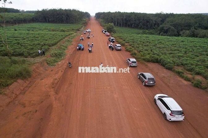 Đất mặt tiền đường xuyên tâm giá trị tương lai . giá rẻ