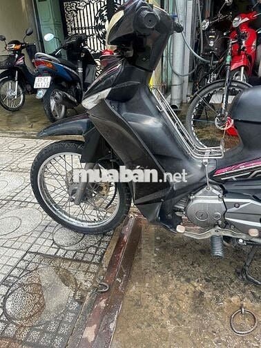 taurus xe hãng giá rẻ