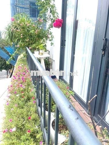 Hiếm ! Bán Nhà Mặt Phố Hàng Khay Hoàn Kiếm 32,5 Tỷ 360m2 mặt tiền 12m