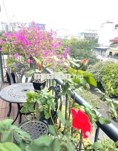 Hiếm ! Bán Nhà Mặt Phố Hàng Khay Hoàn Kiếm 32,5 Tỷ 360m2 mặt tiền 12m