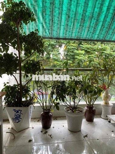 Đường An Dương Vương - 4PN - 20 triệu