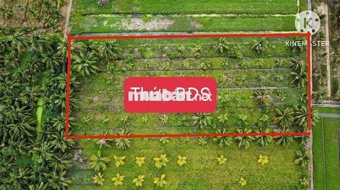 ĐẤT VƯỜN GIÁ RẺ GẦN TRƯỜNG THPT TÂN HIỆP 800tr/1000m2