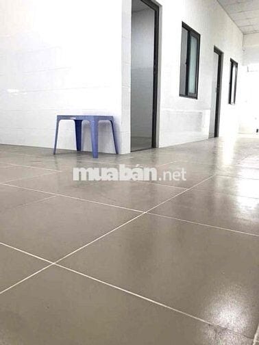 Cho Thuê Nhà Và MB Vừa Ở Vừa KD 250m2 Gần Nhà Thờ Dĩ An