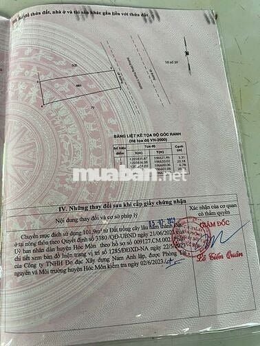🔥ĐẤT NỞ HẬU MẶT TIỀN ĐÔNG THẠNH HÓC MÔN TUYẾN ĐƯỜNG BUÔN BÁN TẤP NẬP